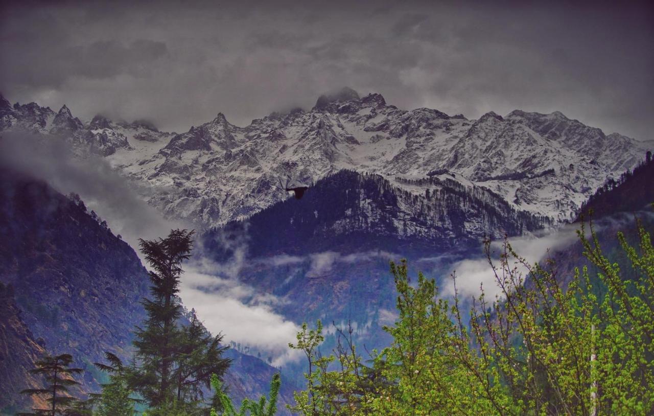 Memoir Homestay Kasol Ngoại thất bức ảnh